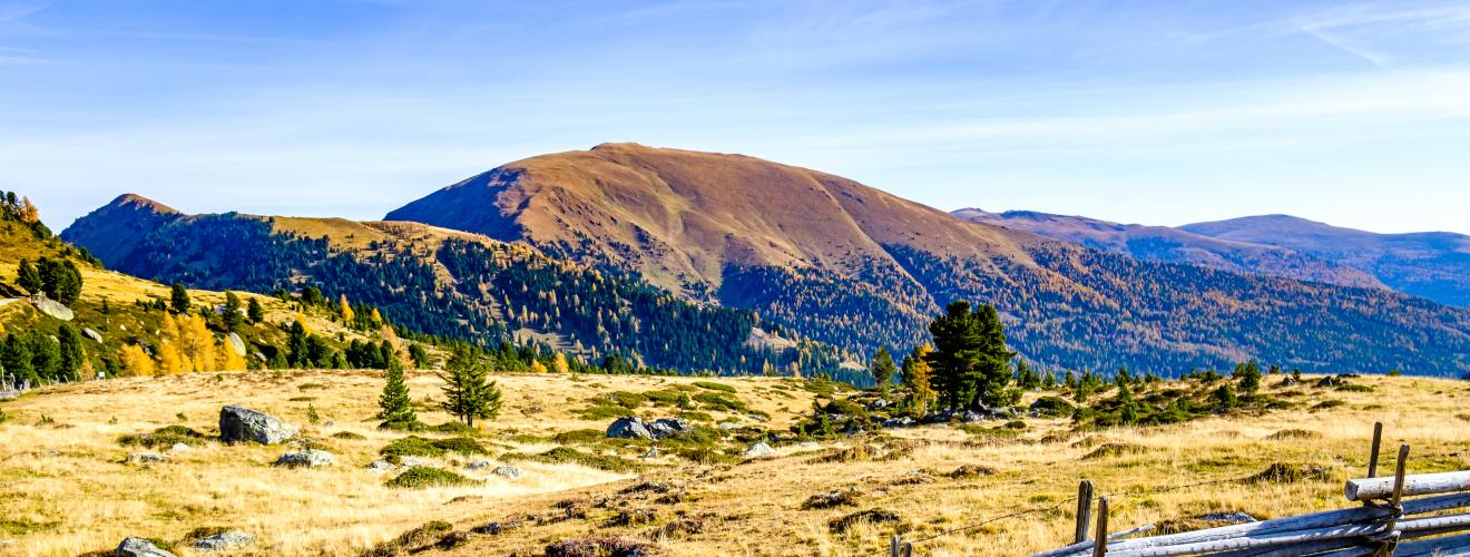 iStock-1188675799 iStock-1188675799