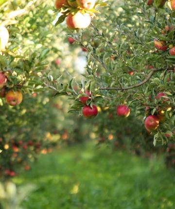 iStock-612242240 iStock-612242240