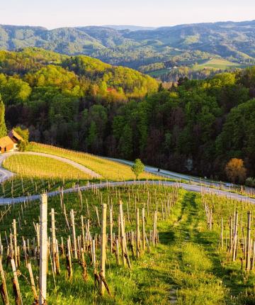 iStock-1170132689 iStock-1170132689